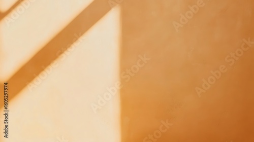 Soft, warm shadows on a light orange wall