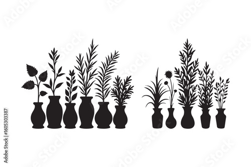 Silhouette of various plants in vases on a white background