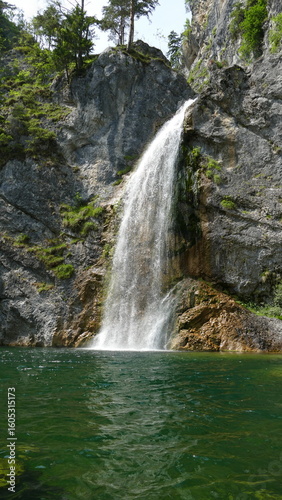 waterfall in the forest