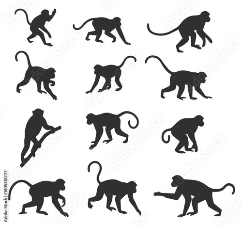 Vector art of a collection of black silhouette illustrations of monkeys on isolated background. 