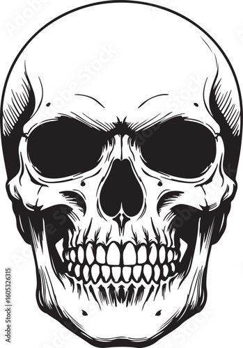 Intricate Skull Illustration in Black and White A Study in Anatomy and Gothic Art for Apparel and Design