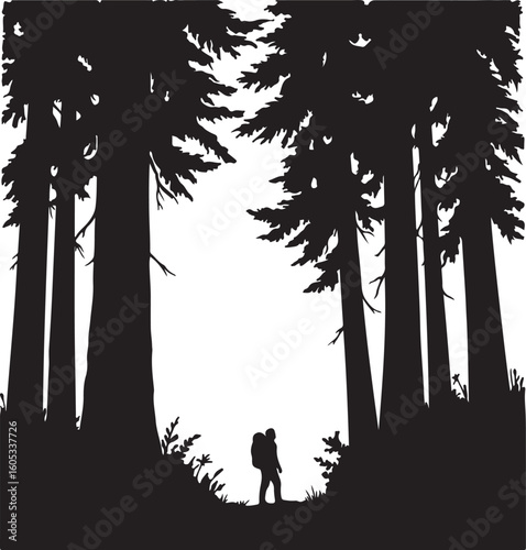 Silhouetted Hiker Embracing Nature's Grandeur A Majestic Forest Scene Capturing Tranquility and Adventure in the Wilderness