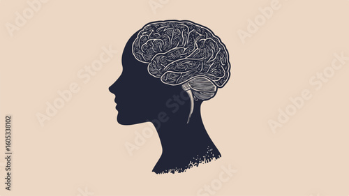 Detailed Drawing of Human Head with Brain Illustration for Medical Education