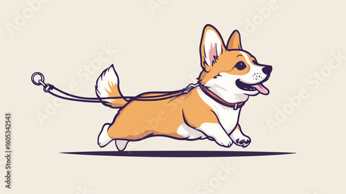 Playful Welsh Corgi Dog Escaping with Leash in Mouth