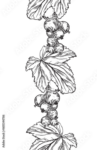 Blackcurrant bunch berry and leaves. Summer seamless border of garden plants. Hand drawn botanical banner of black ink plant for cosmetics packaging, fabric, table textile