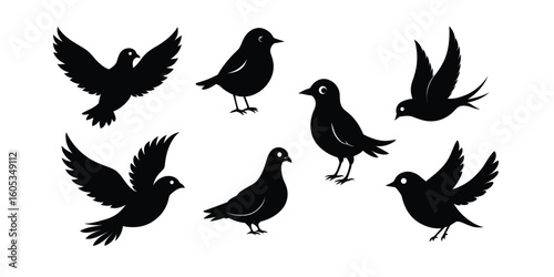Wild bird bundle silhouette lark,finch,pigeon and robin in black vector style on white background