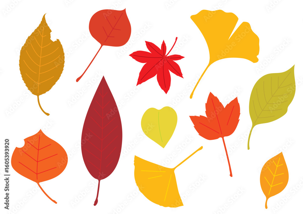Obraz premium シンプル・フラットな秋の葉っぱセット