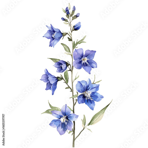 My Watercolor hand-painted purple Larkspur with leaf painting illustration isolated on a white background, vector illustration, AI painting design, EPS format design. vector illustration