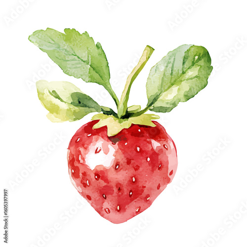 My Watercolor hand-painted strawberry with leaf painting illustration isolated on a white background, vector illustration, AI painting design, EPS format design. vector illustration