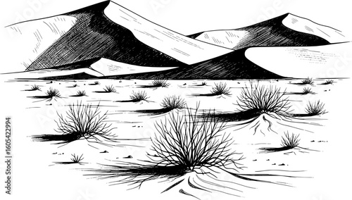 Desert landscape with sand dunes and dry bushes, black and white sketch with hand-drawn style
