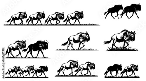 Various wildebeest silhouettes in motion, isolated on white background