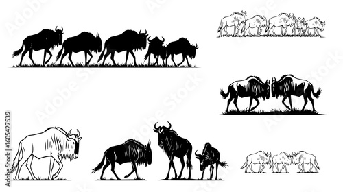 Collection of wildebeest silhouettes in various poses and activities, isolated on white background