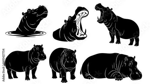 Collection of hippopotamus silhouettes in various poses, isolated on white background