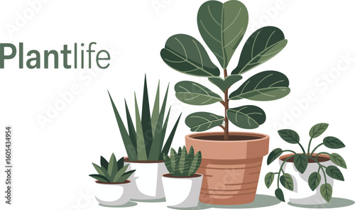 Collection of various houseplants in a stylized vector design perfect for home decor and botanical themes