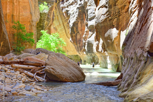 The Zion Narrows, Washington County Utah USA 6-9-2021