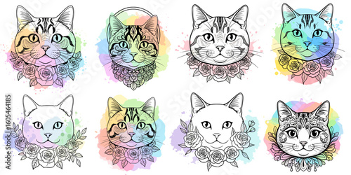 Elegant British Shorthair Cat Head Vector Set – Hand-Drawn Illustrations with Rose Collars and Watercolor Rainbow Backgrounds, Perfect for T-Shirts, Cards, and Professional Stock Art (1)
