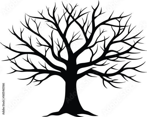 Silhouette of Bare Winter Tree, Leafless tree silhouette