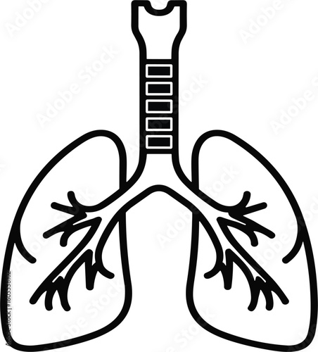 Human Lungs and Trachea Line Icon | Vector Illustration of the Respiratory System for Anatomy, Pulmonology, and Health Education | Medical Symbol for Breathing and Respiration