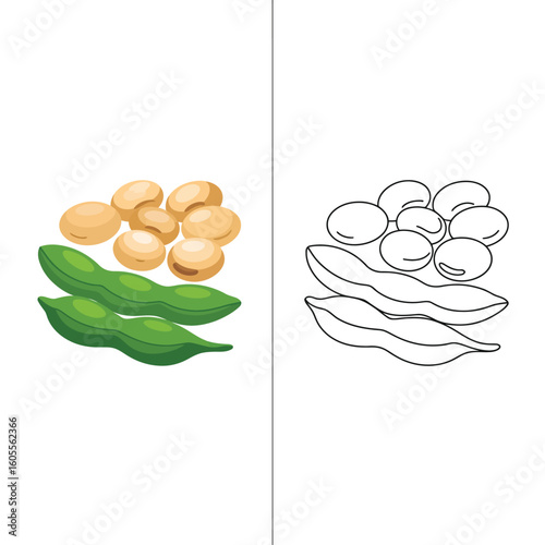 Fresh green soybeans in pods and shelled beans
