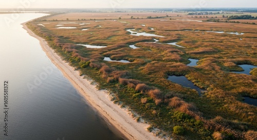 Aerial View of Coastal Wetland at Sunset
