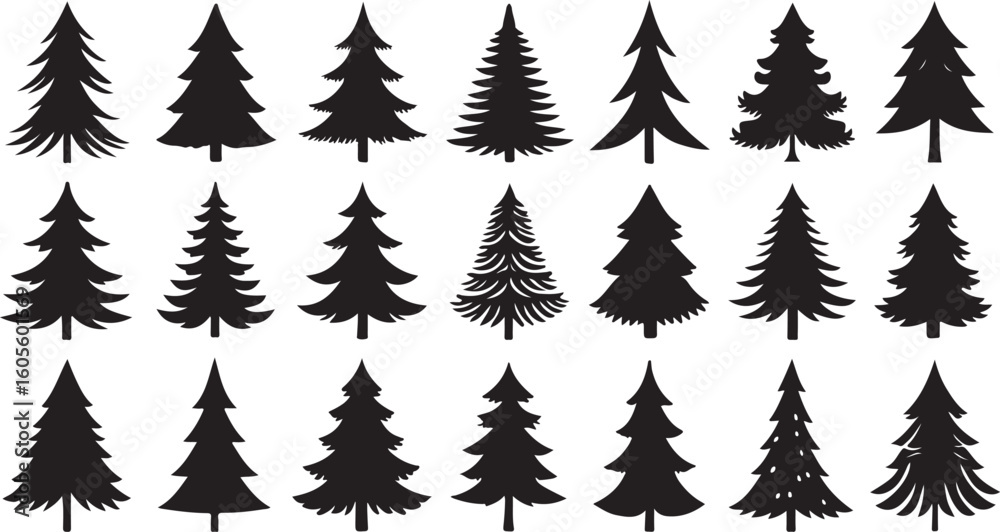Fototapeta premium Black pine trees silhouettes evergreen trees forest
