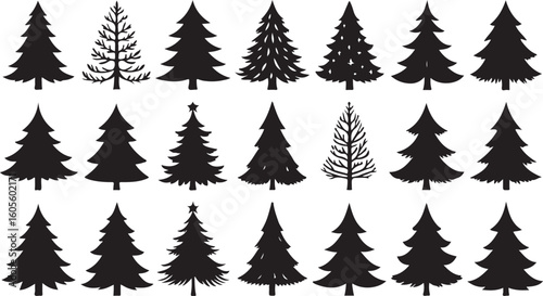 Diverse evergreen tree silhouettes with intricate branches and layered foliage evergreen trees pine trees