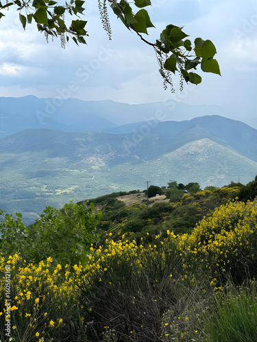 Natural landscape in Mani region of southern Greece