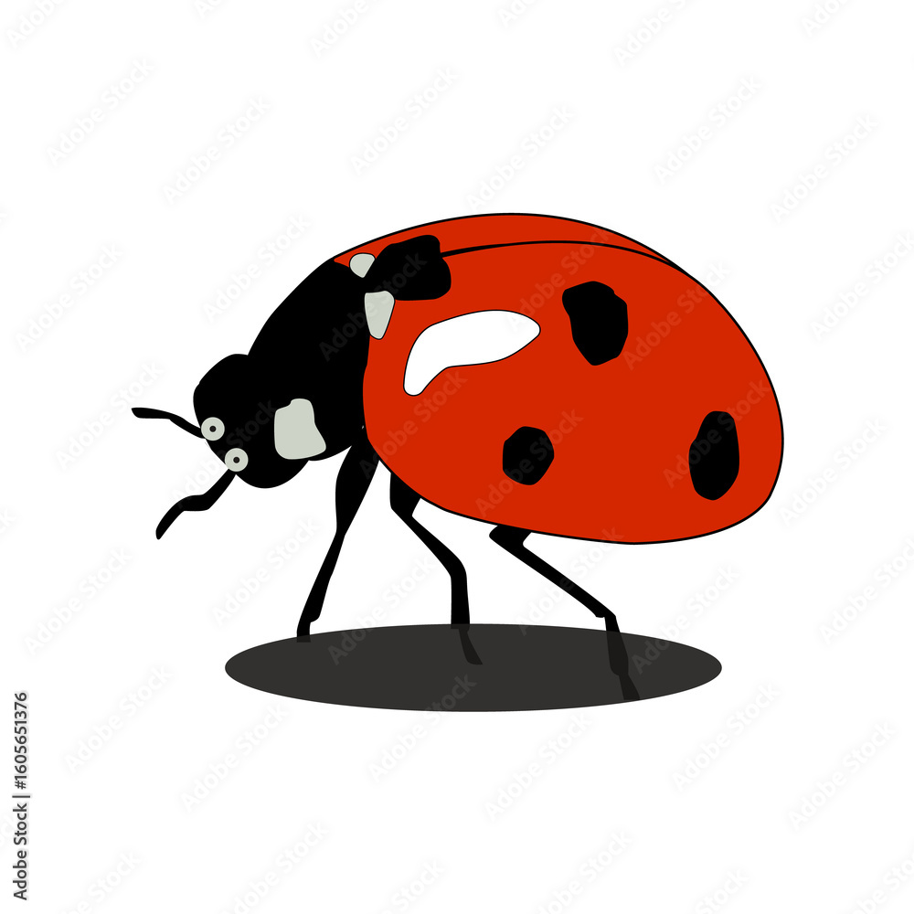 Obraz premium Ladybug