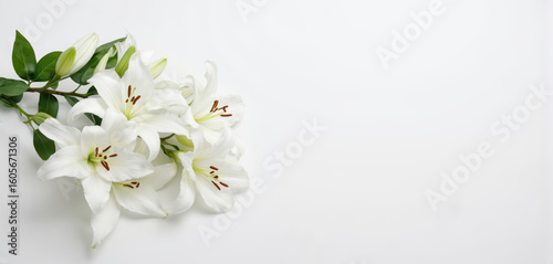 Elegant white lilies branch isolated on white. Pure beauty of fragrant blossoms, symbolizing peace and remembrance. Perfect for funeral, sympathy cards, or spring decorations.