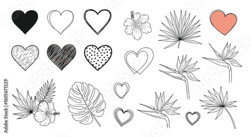 Hand drawn heart and tropical leaf vector graphics for design projects