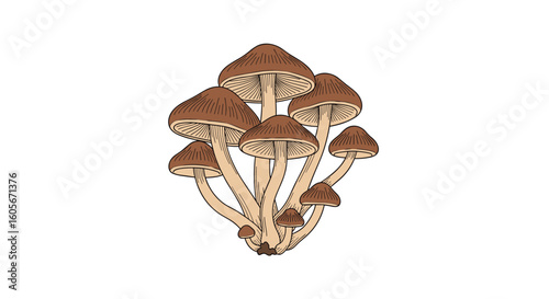 A detailed illustration of a cluster of wild honey mushrooms growing together in a forest setting