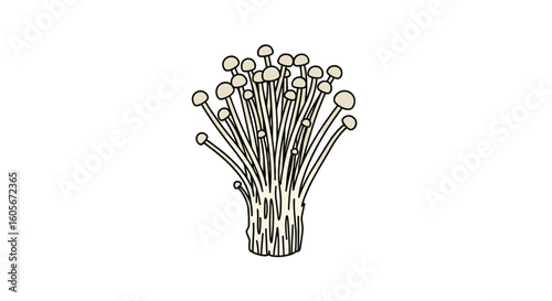 Edible fungi bunch delicate sprouts slender stems delicate cap growing food ingredient healthy cuisine natural vegetation organic produce