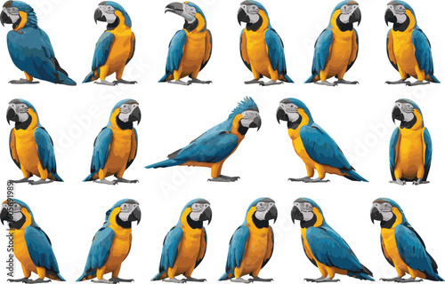 A collection of beautiful blue and yellow macaws posed against a white background