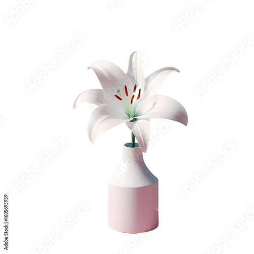 Lily flower on transparent background