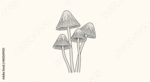 Illustrative design of psilocybin mushroom caps and stems with intricate patterns