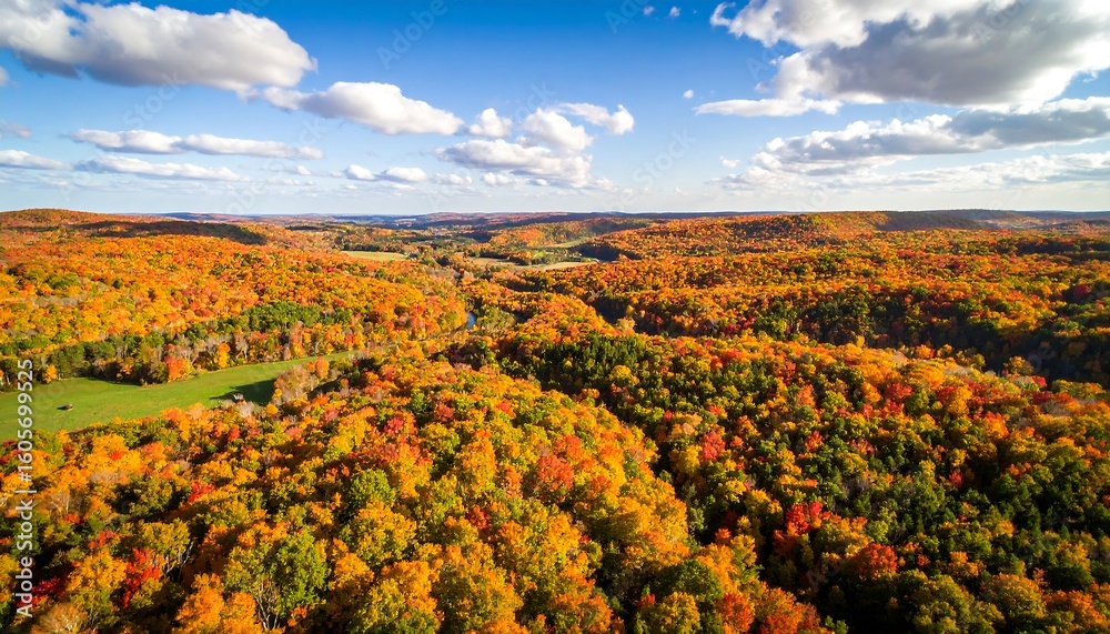 Fototapeta premium Breathtaking aerial view of autumnal forest landscape under a cloudy sky