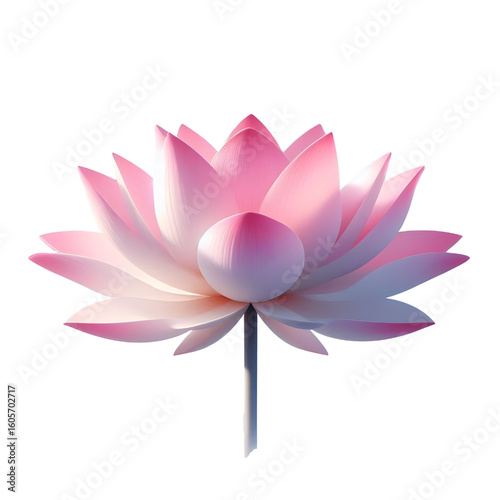 Cutout lotus flower on transparent background
