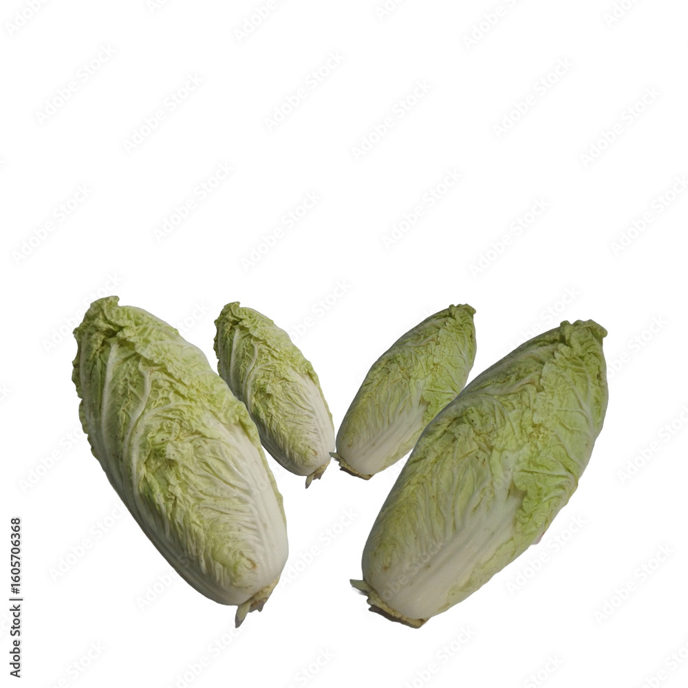 Naklejka premium Fresh Napa Cabbage on transparan background