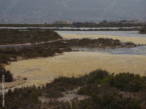 view of the beach