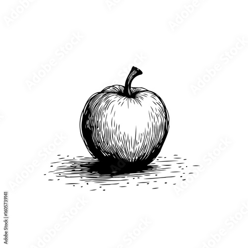 A meticulously detailed black and white sketch of an apple portraying organic freshness and natural simplicity in art