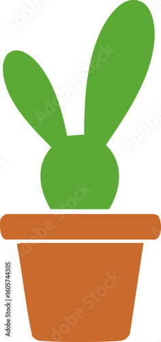 토끼 선인장, Bunny Ears Cactus