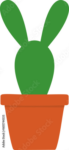 토끼 선인장, Bunny Ears Cactus