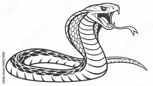 Illustration of a cobra with its hood up and mouth open showing fangs and forked tongue out stretched