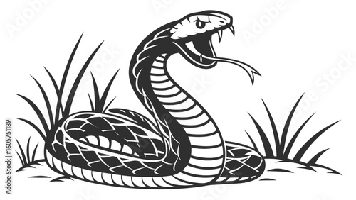 Illustration of a coiled snake with open mouth and tongue in grass, black and white drawing style