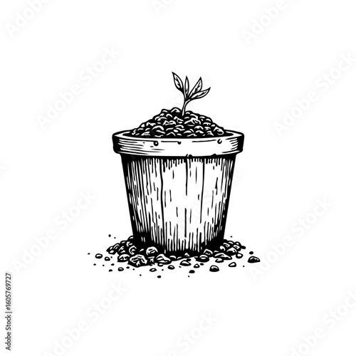 Illustration of a new sprout in a pot representing growth and renewal for new beginnings symbol