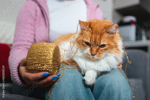 Cat lounging with gold yarn in cozy home environment