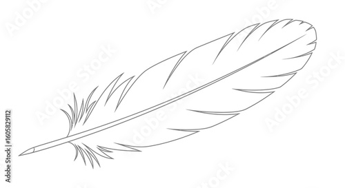 Minimalist feather illustration on a white background displaying simplicity and elegance in a refined monochrome design emphasizing the feather's
