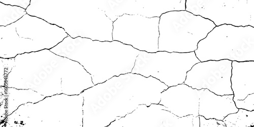 white surface with a network of black cracks across the surface area.