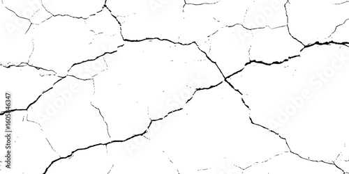 white surface with a network of black cracks across the surface area.