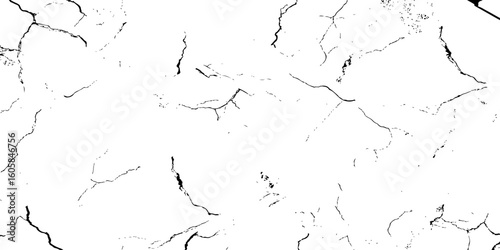 white surface with a network of black cracks across the surface area.